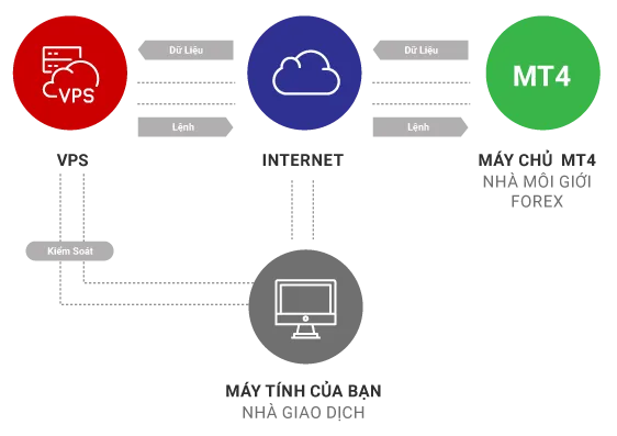 vps-work-vi